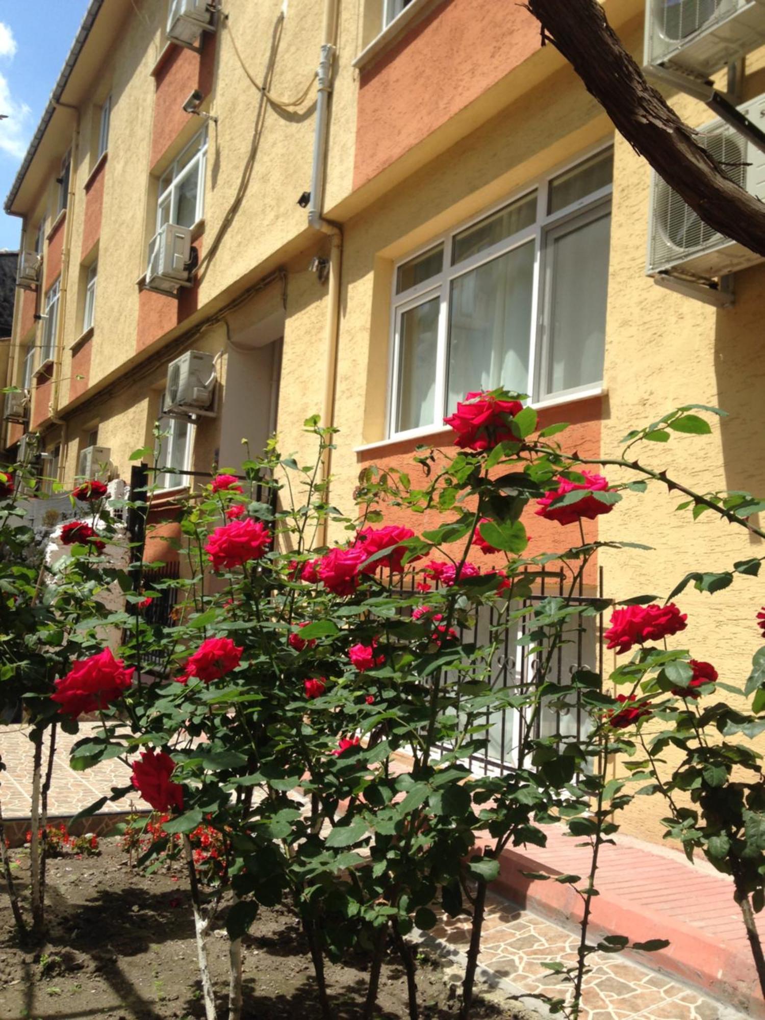 Sultanahmet Deluxe Yilmaz Apart Κωνσταντινούπολη Εξωτερικό φωτογραφία